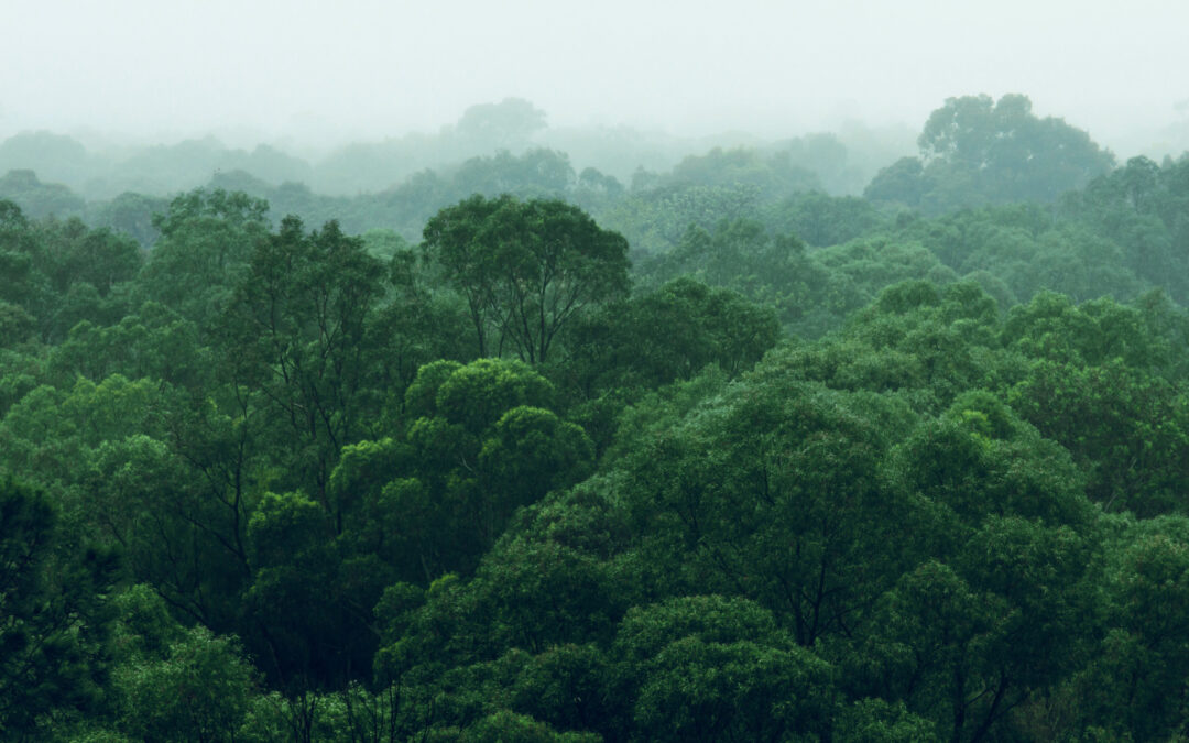 Umweltfreundlicher Messestand: So gelingt die umweltbewusste Gestaltung Ihres Messestandes